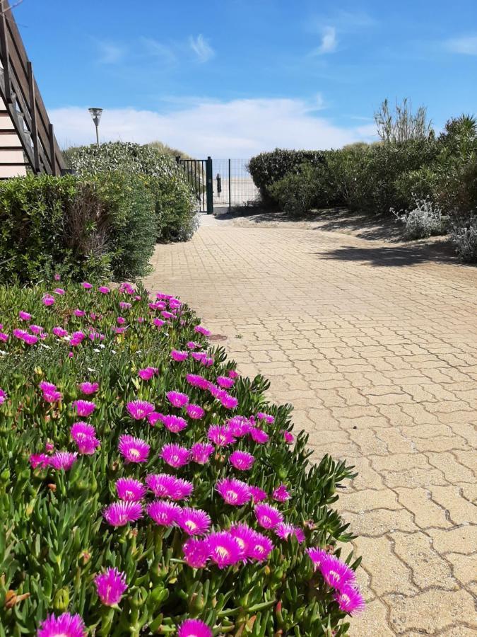 Plage De La Roquille Агде Екстериор снимка